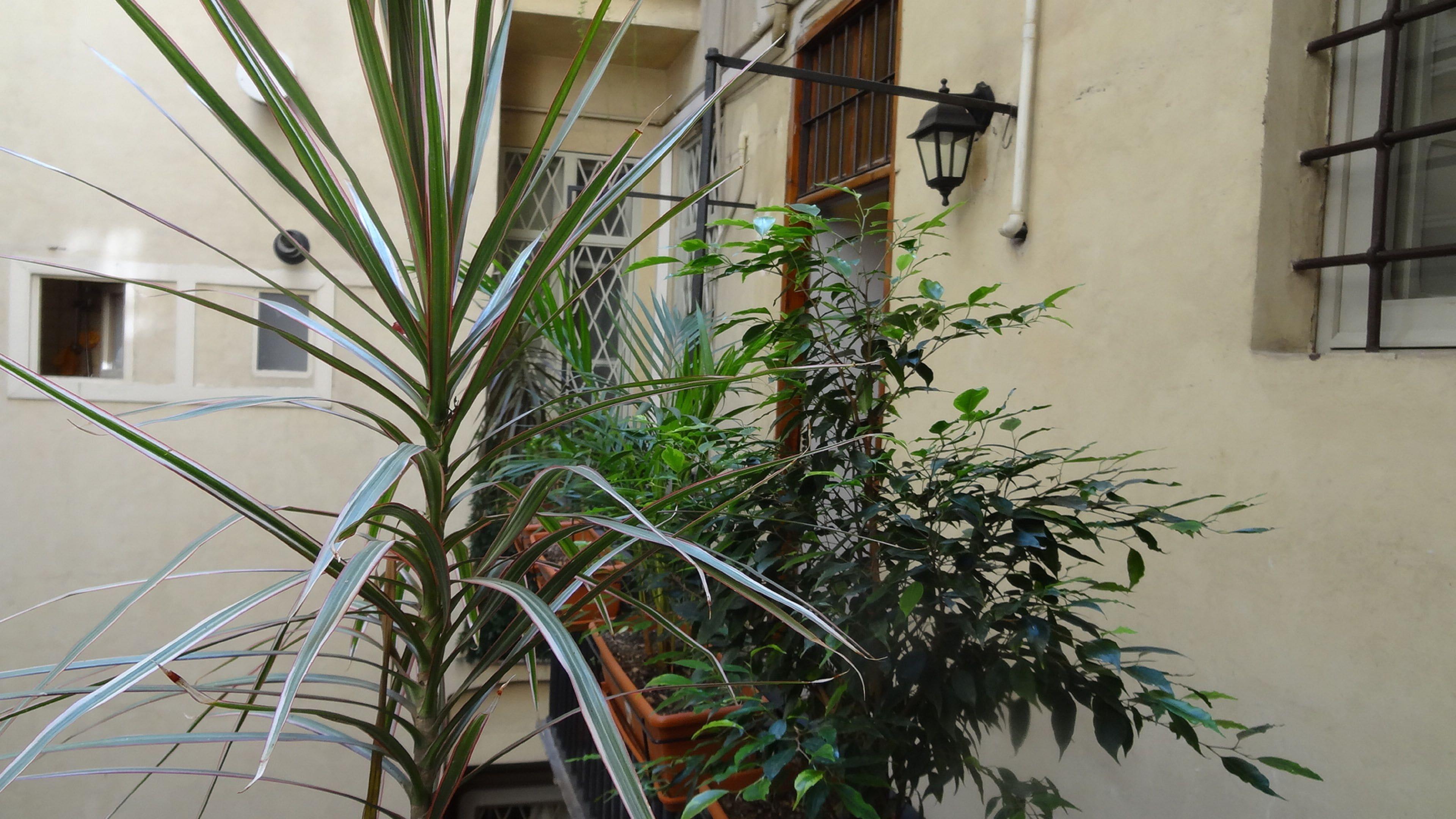 La Maison Dell'Orologio — Foto 1